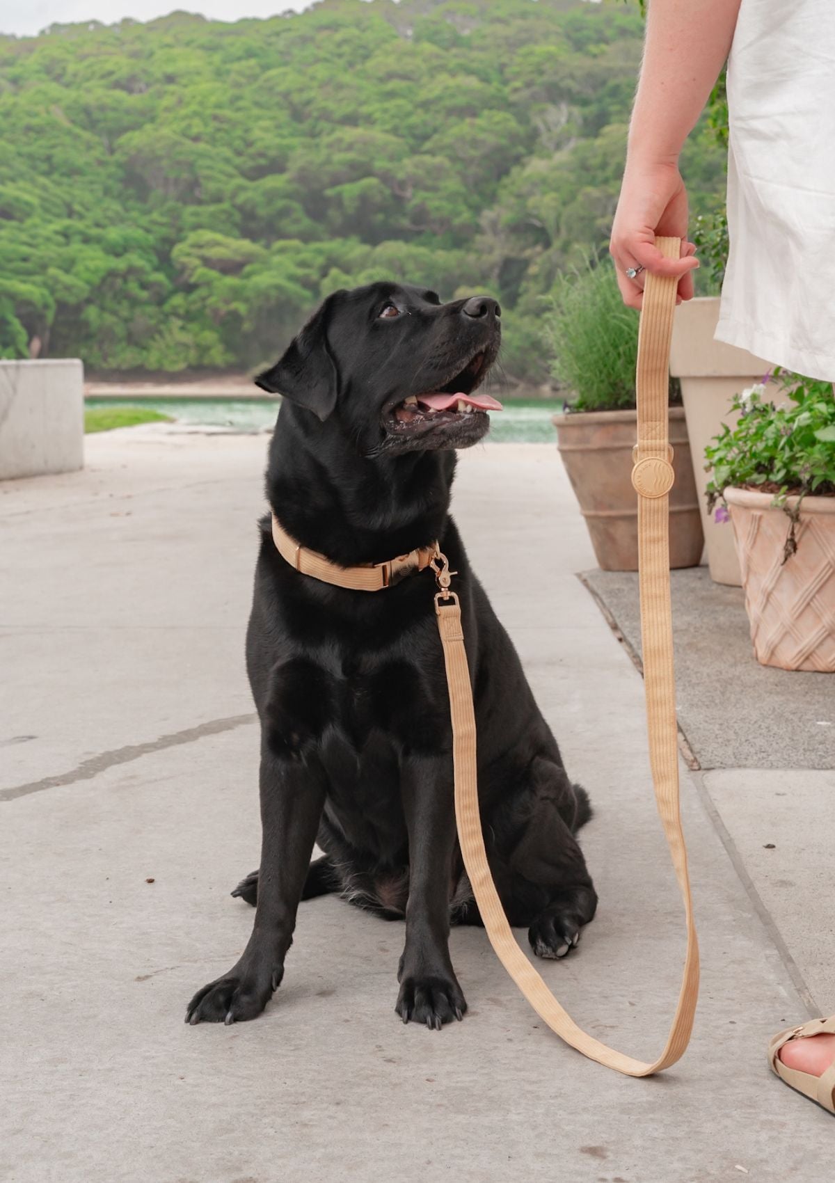 Bella Cord Collar - Mango