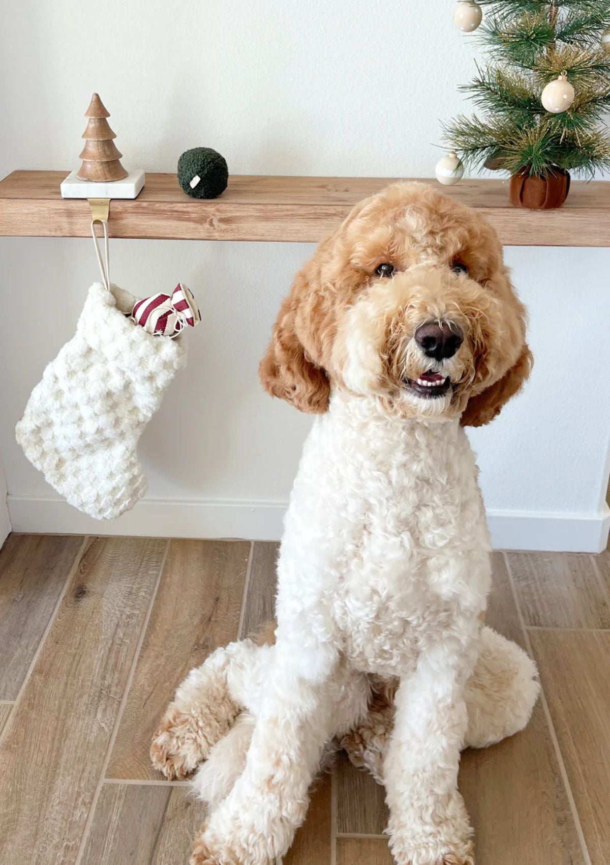 XMAS Stocking