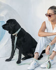 Bella Cord Collar: Sage Green