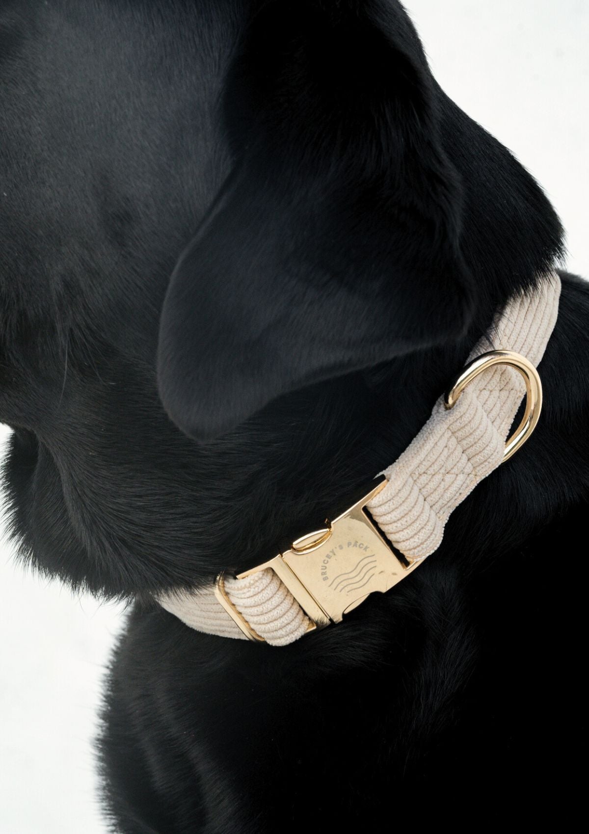 Bella Cord Collar - Beige