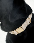 Bella Cord Collar: Beige