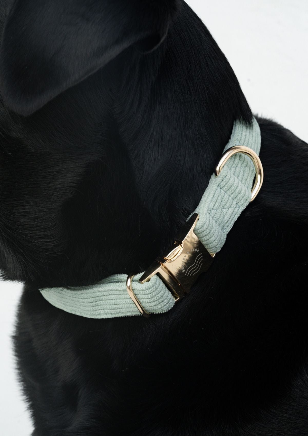 Bella Cord Collar - Sage Green