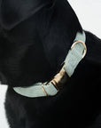 Bella Cord Collar: Sage Green