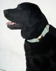 Bella Cord Collar: Sage Green