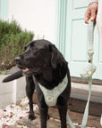 Bella Cord No Pull Harness - Sage Green
