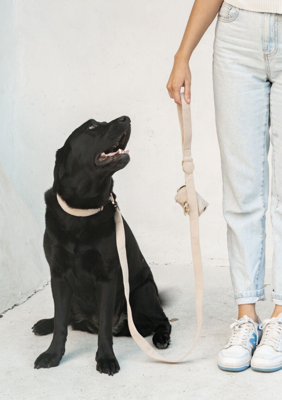 Bella Cord Collar - Beige