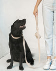 Bella Cord Collar: Beige
