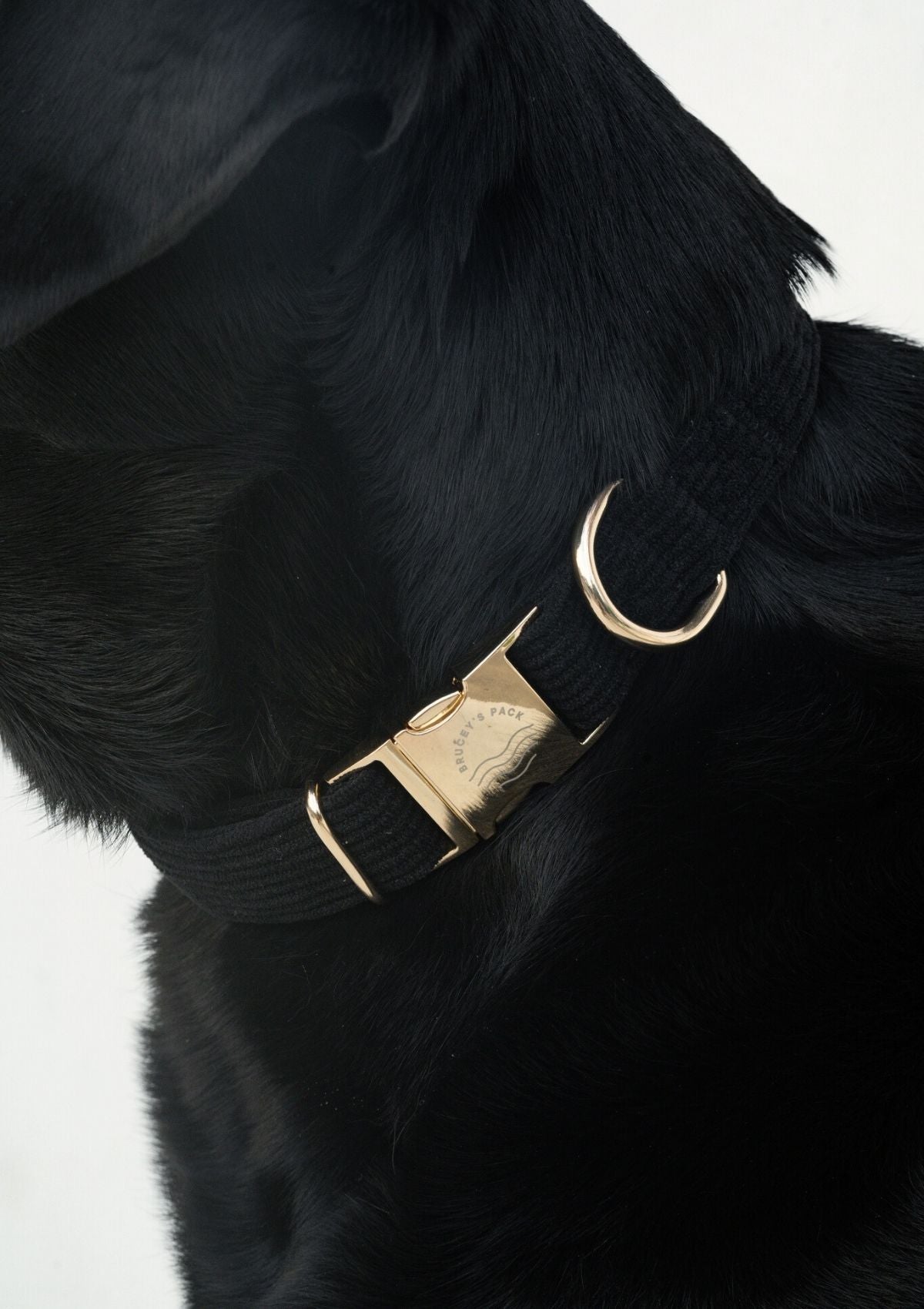 Bella Cord Collar - Black