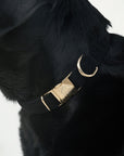 Bella Cord Collar: Black