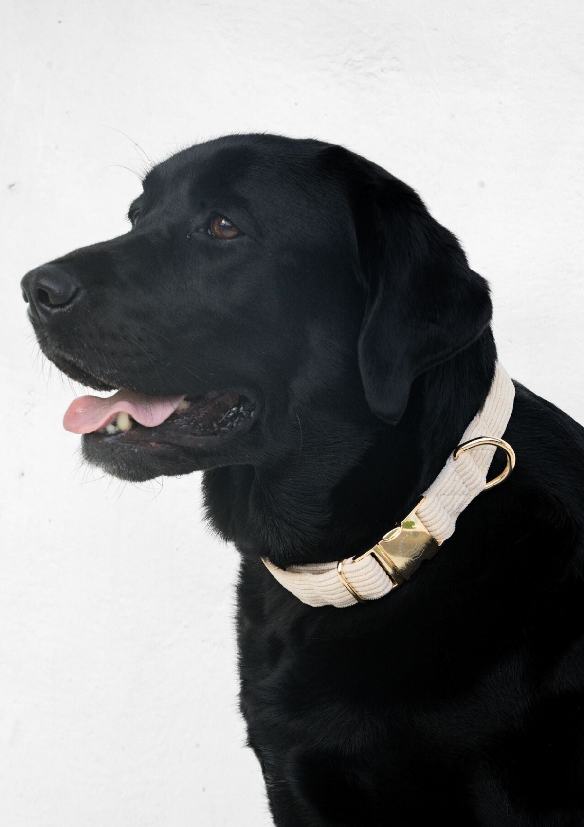 Bella Cord Collar - Beige