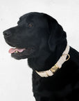 Bella Cord Collar: Beige