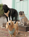 Bella Cord No Pull Harness - Sage Green