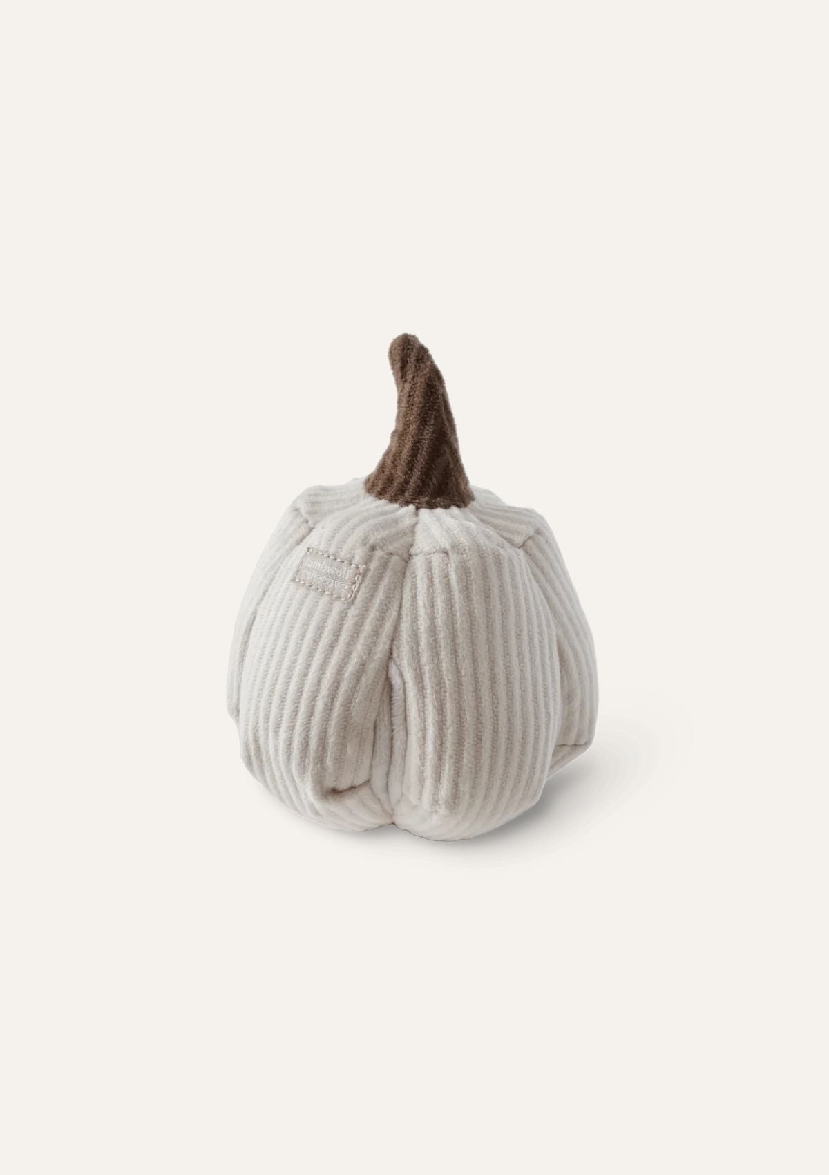 Cinderella Pumkin