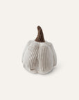 Cinderella Pumkin