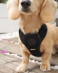 Bella Cord No Pull Harness - Black