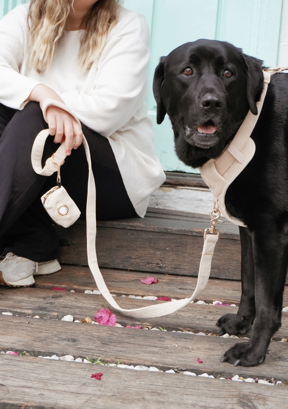 Bella Cord No Pull Harness - Beige