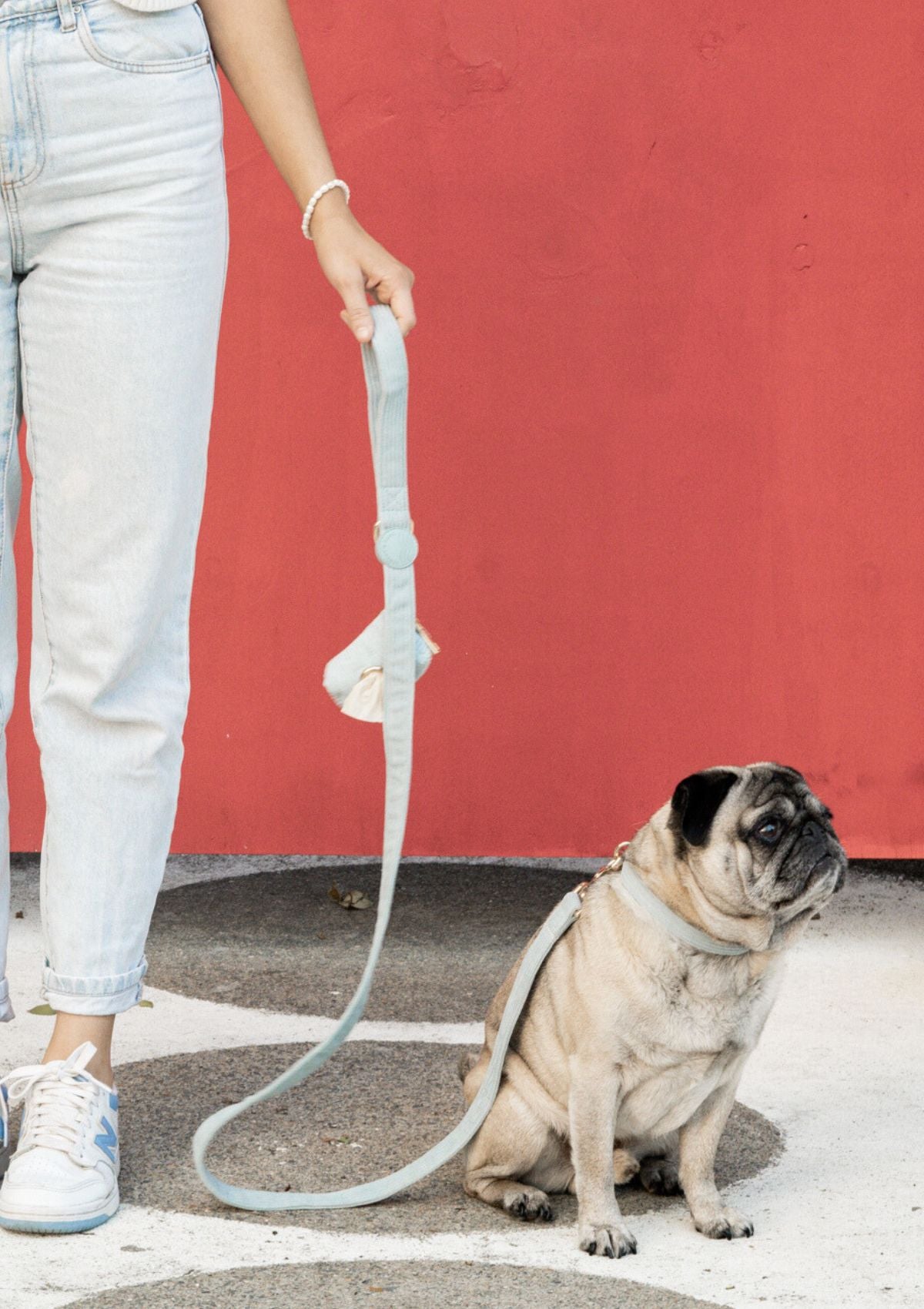 Bella Cord Leash -  Sea Salt