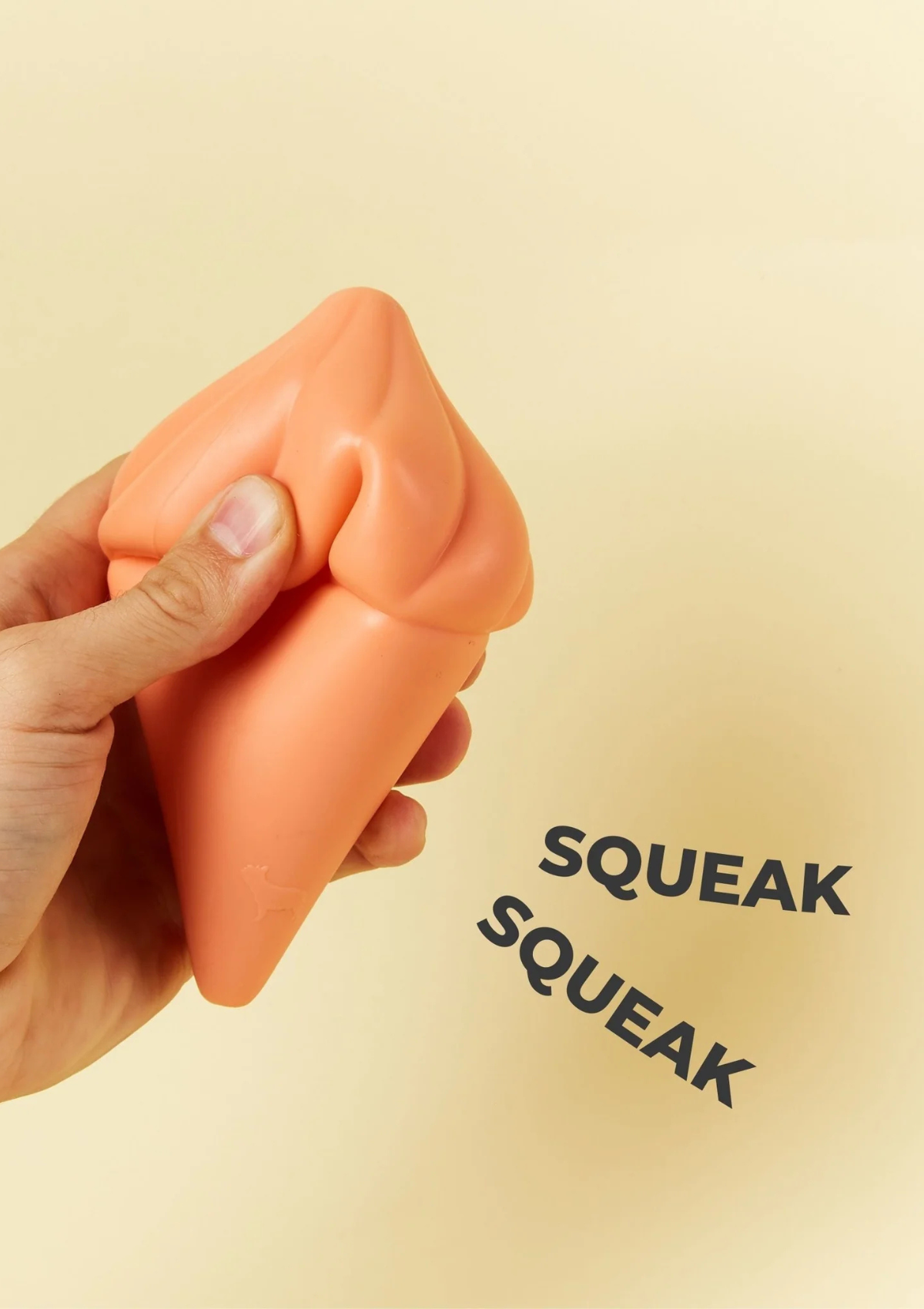 Whippy Squeaky Dog Toy