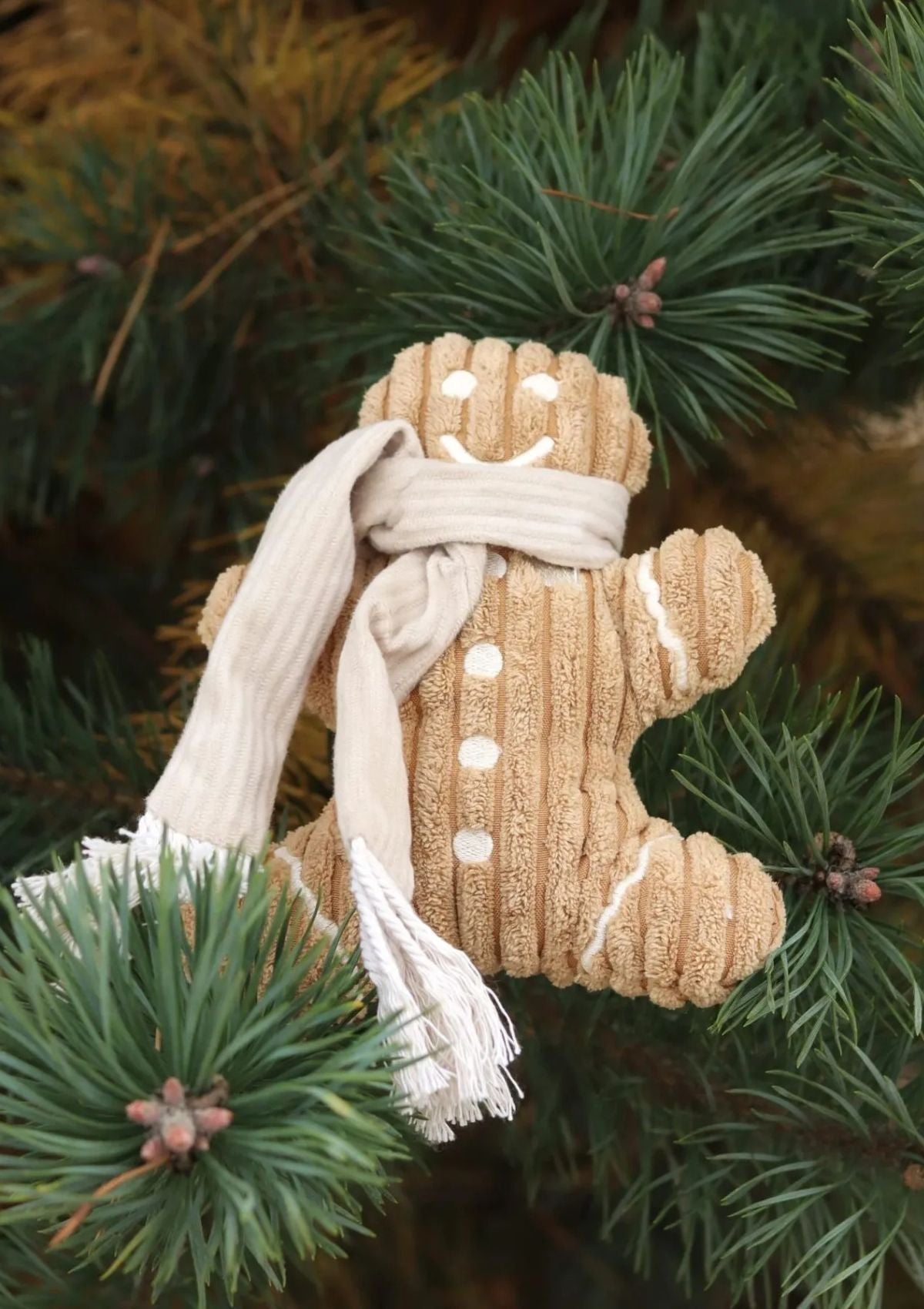 Mr Gingerbread