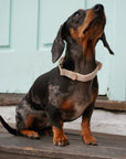 Bella Cord Collar: Beige