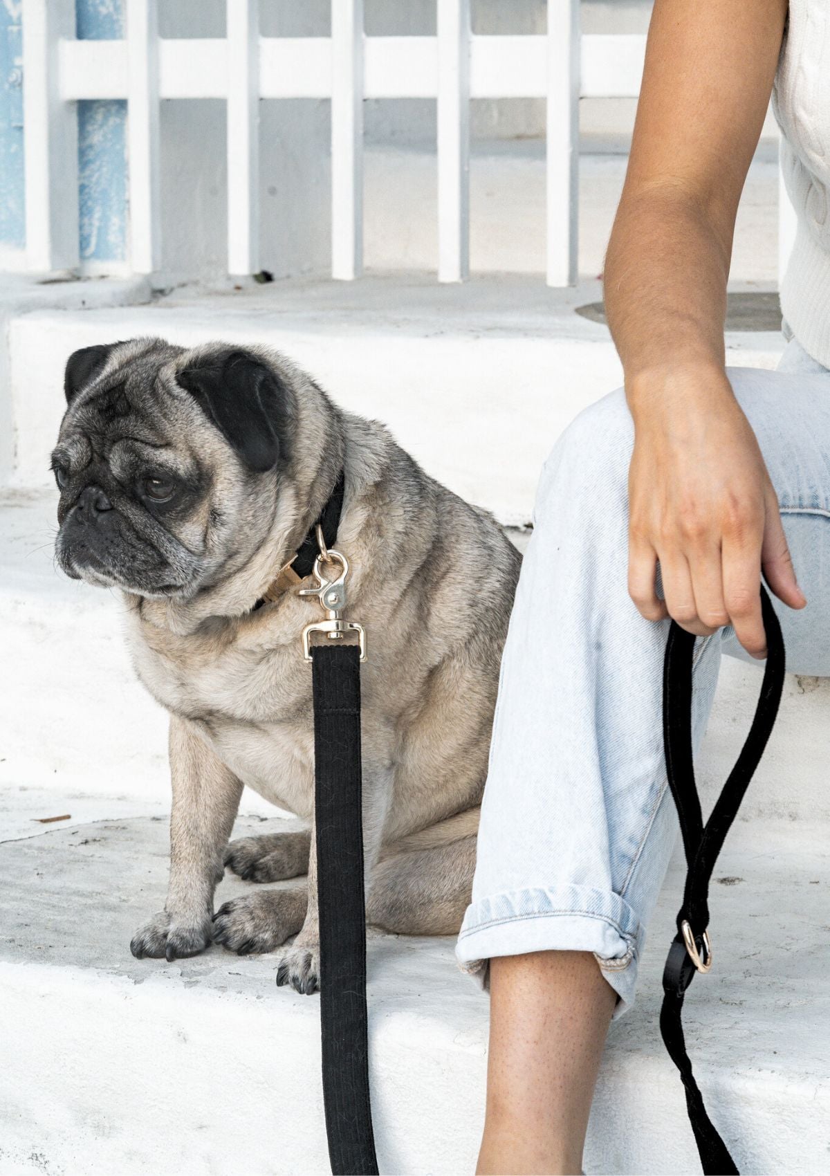 Bella Cord Leash - Black
