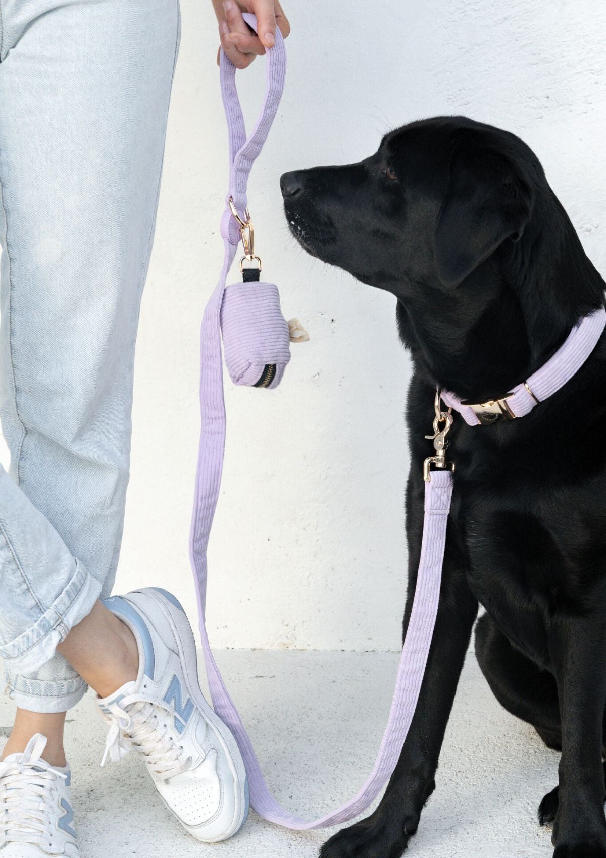 Bella Cord Leash - Lavender
