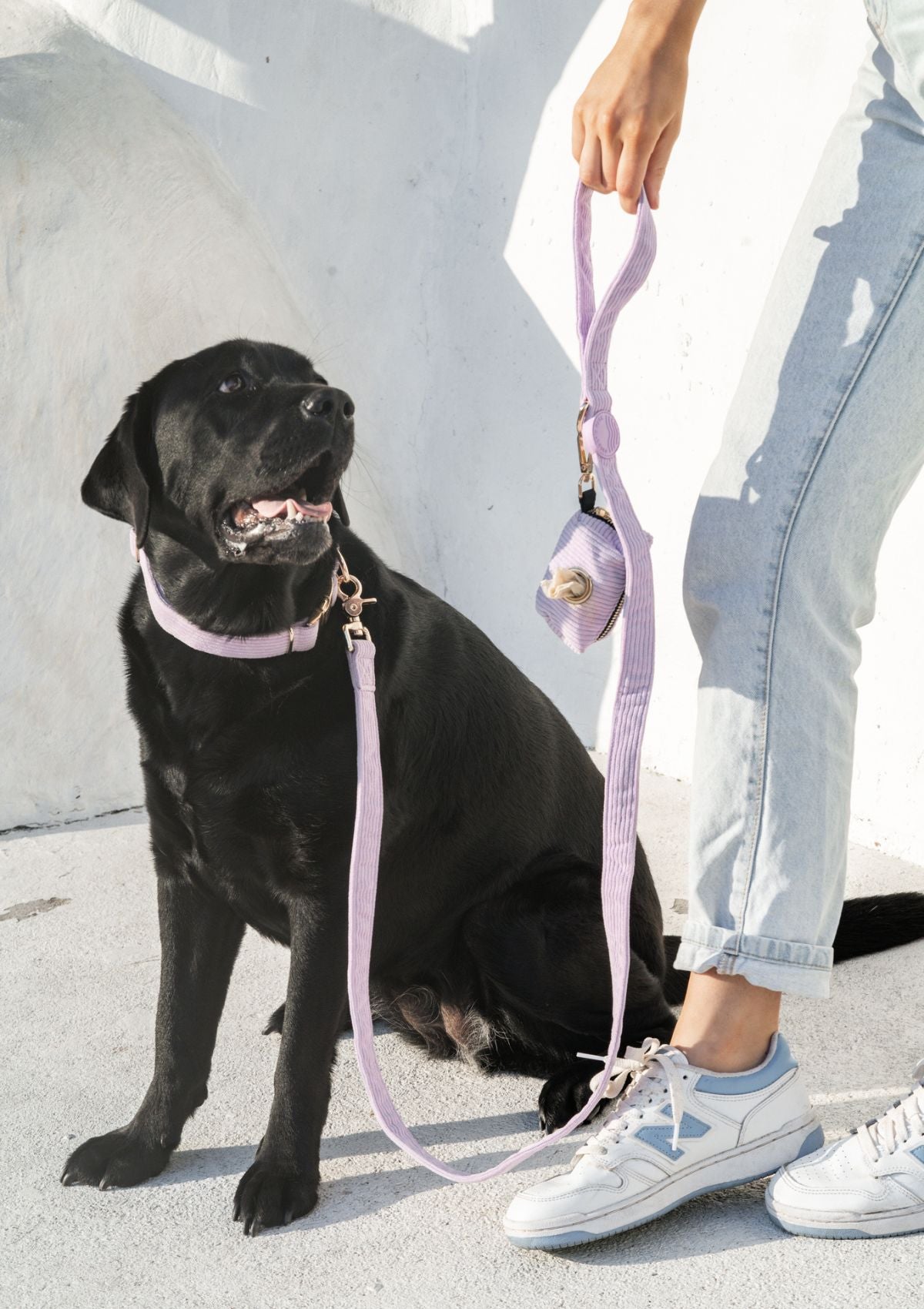 Bella Cord Leash - Lavender