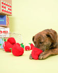 Apple Nosework Toy