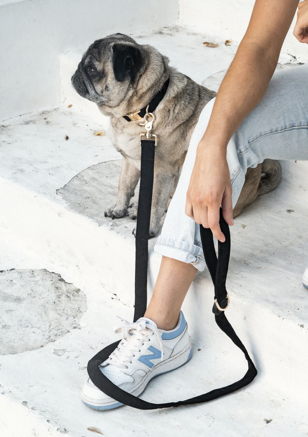 Bella Cord Leash - Black
