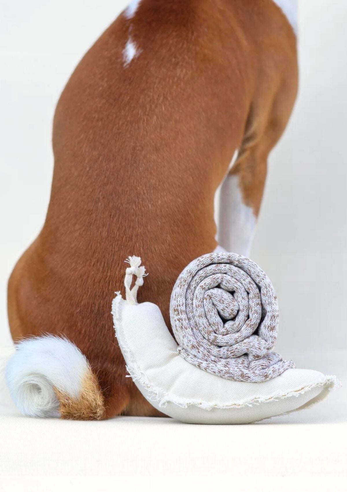 Snail