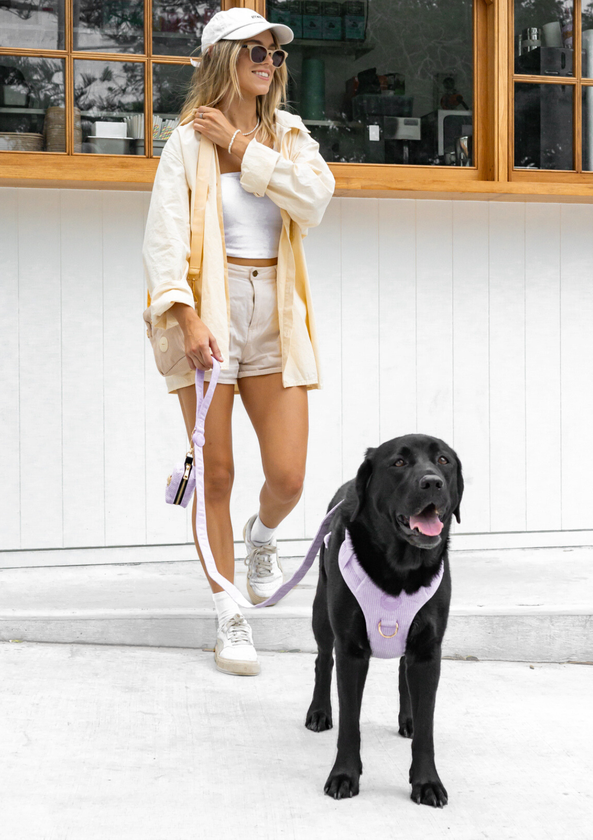 Bella Cord No Pull Harness - Lavender