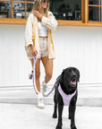 Bella Cord No Pull Harness - Lavender