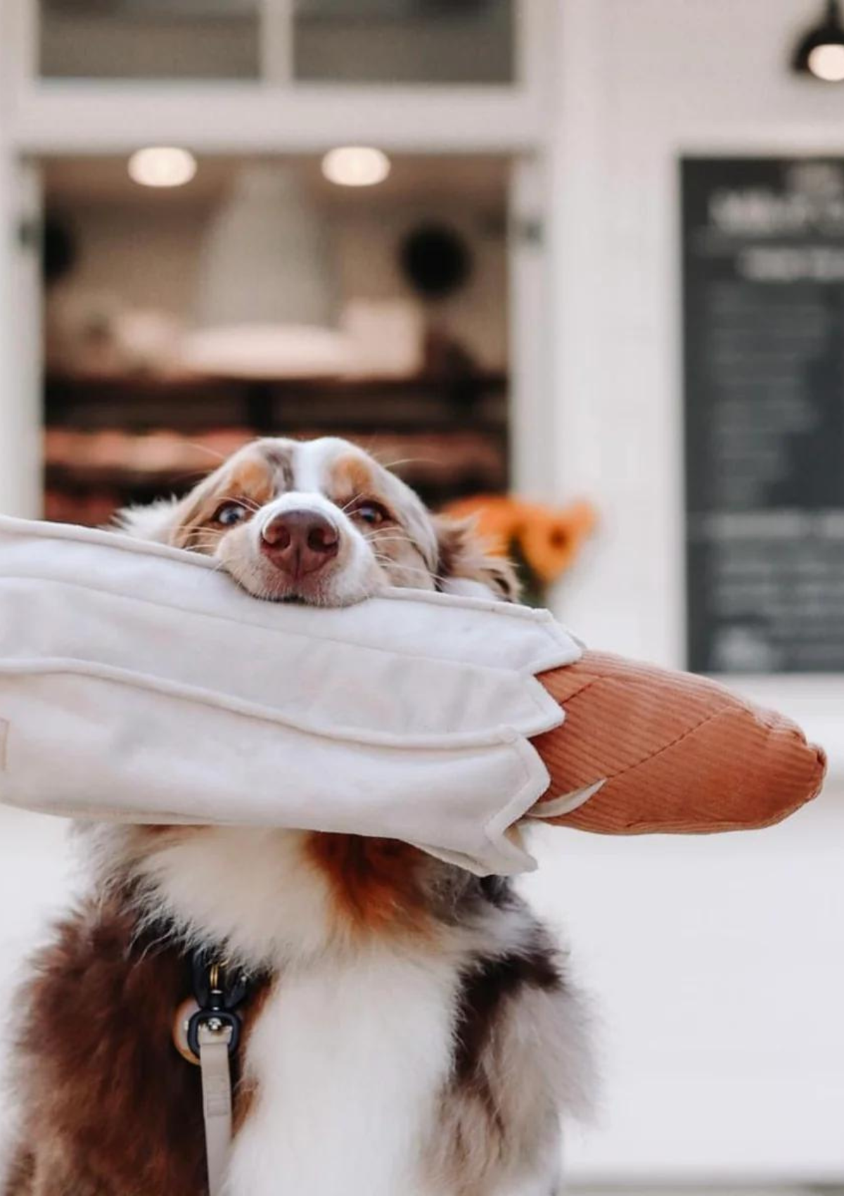 Oversized Baguette