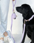 Bella Cord Collar: Lavender