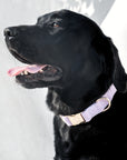 Bella Cord Collar: Lavender