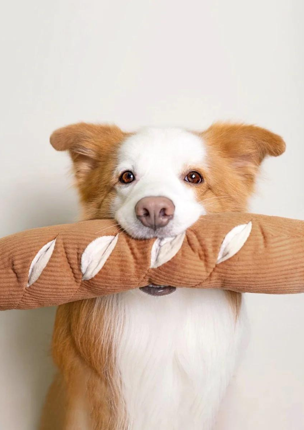 Oversized Baguette