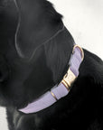 Bella Cord Collar: Lavender