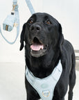 Bella Cord No Pull Harness - Sea Salt