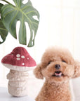 Shroom