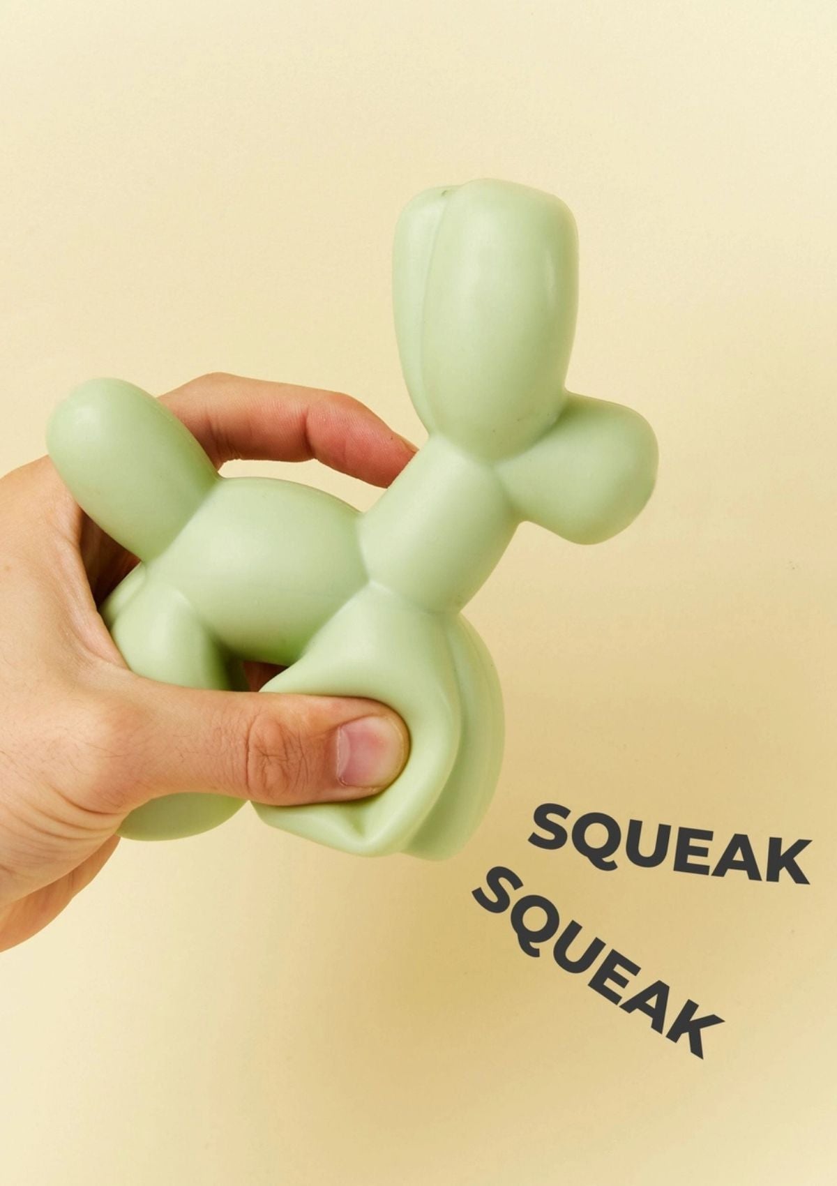 Balloon Squeaky Toy