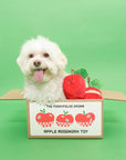 Apple Nosework Toy