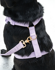 Bella Cord No Pull Harness - Lavender