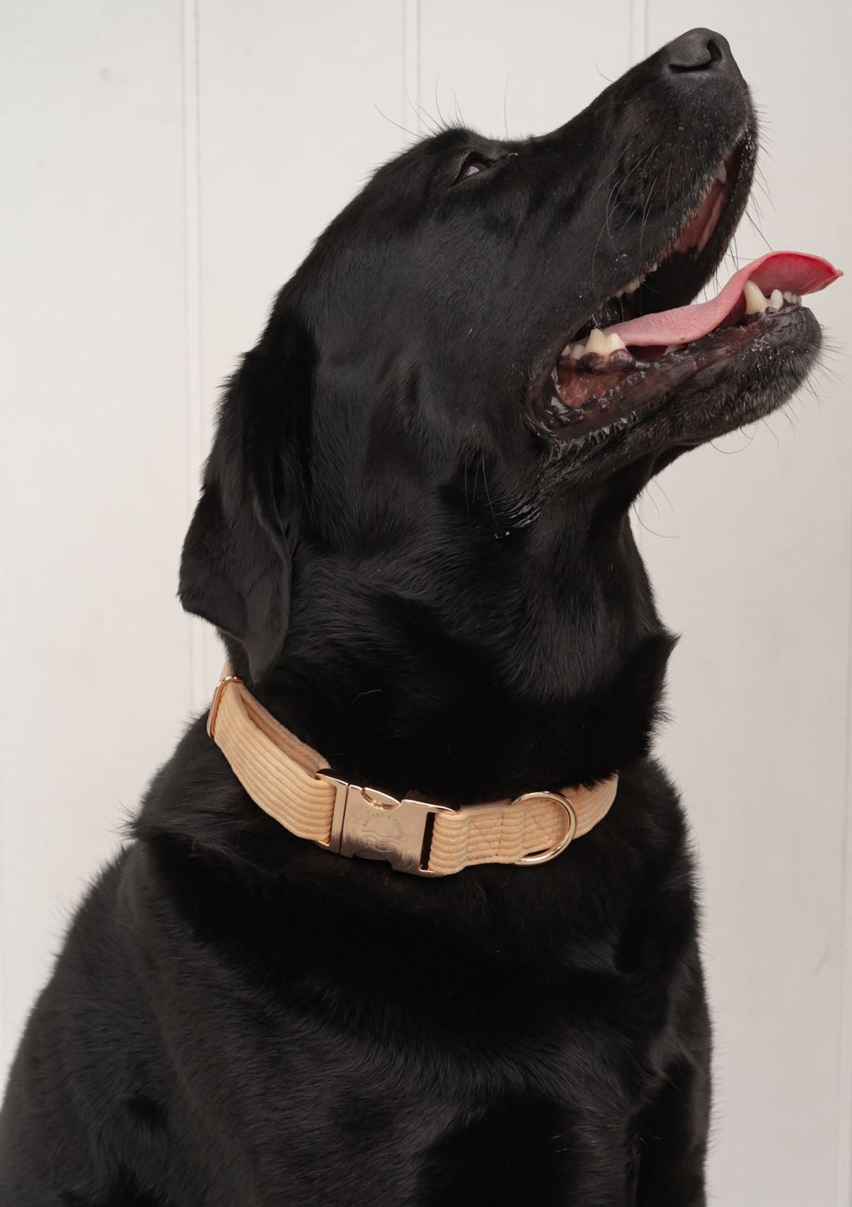 Bella Cord Collar - Mango