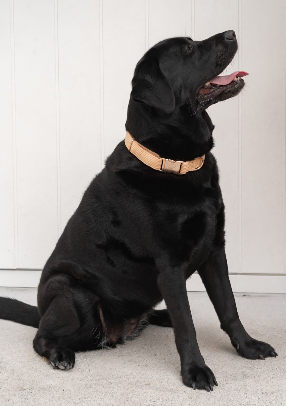 Bella Cord Collar - Mango