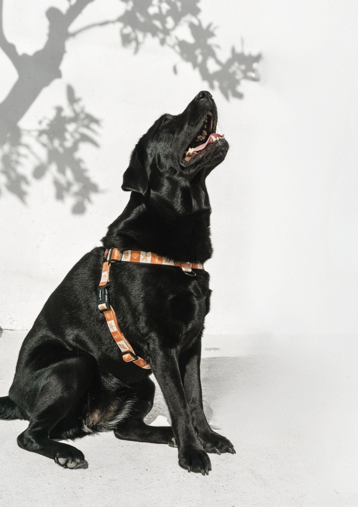 No Pull Strap Harness - Seaside