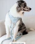 Bella Cord No Pull Harness - Sea Salt