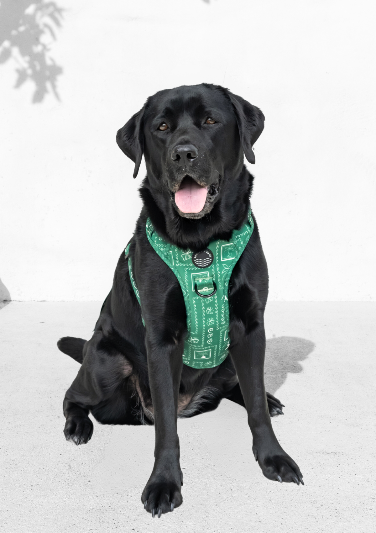 Explorer Chest Harness - Palm Beach