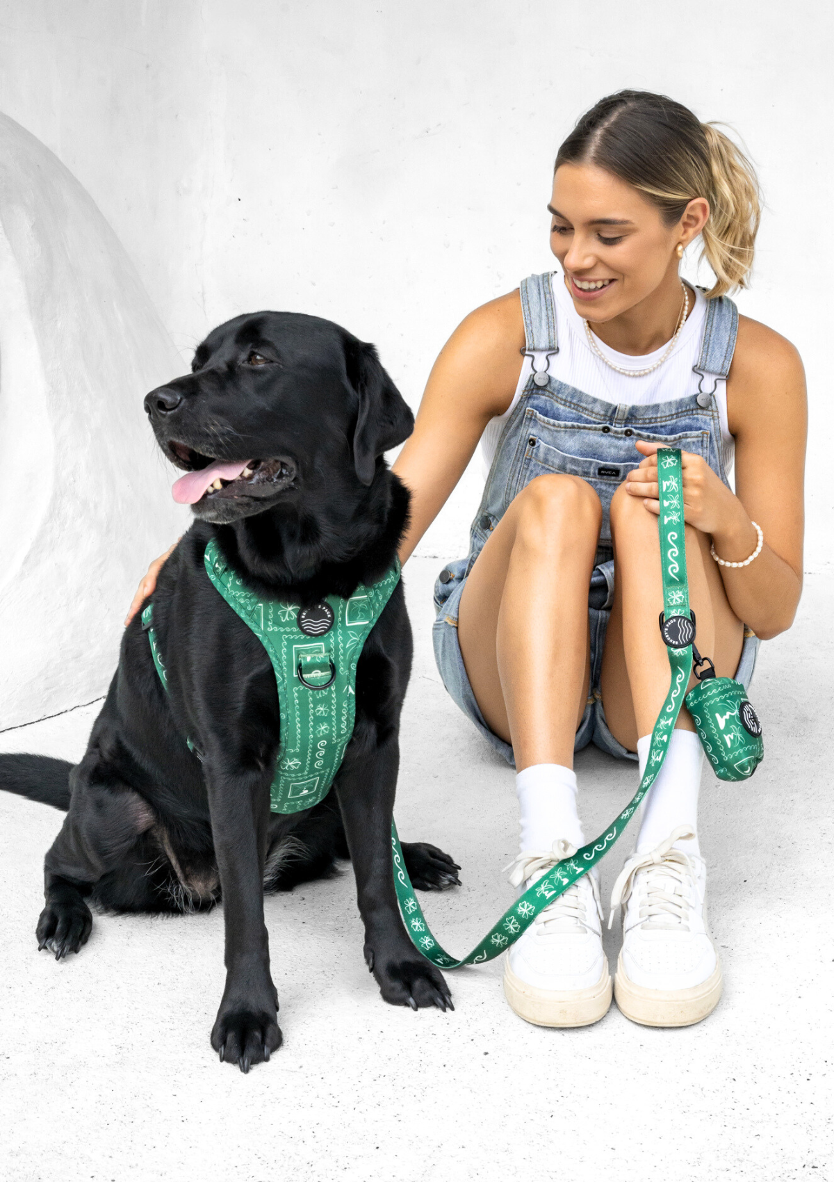 Explorer Chest Harness - Palm Beach