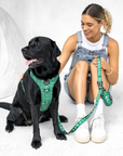 Explorer Chest Harness - Palm Beach