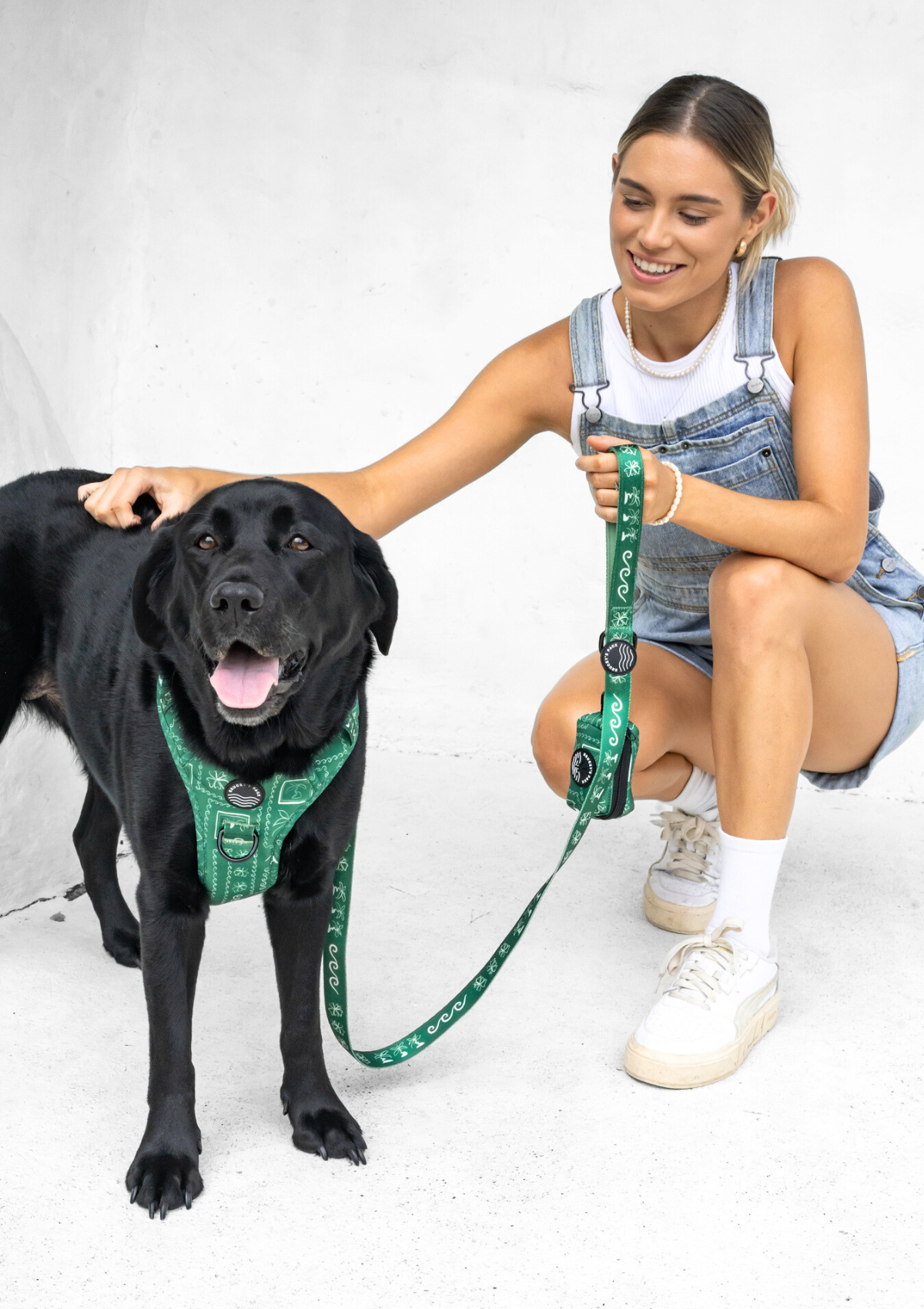 Explorer Chest Harness - Palm Beach
